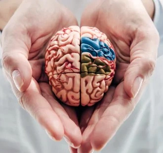 Mind Vault Cognitive Health Supplement Bottle